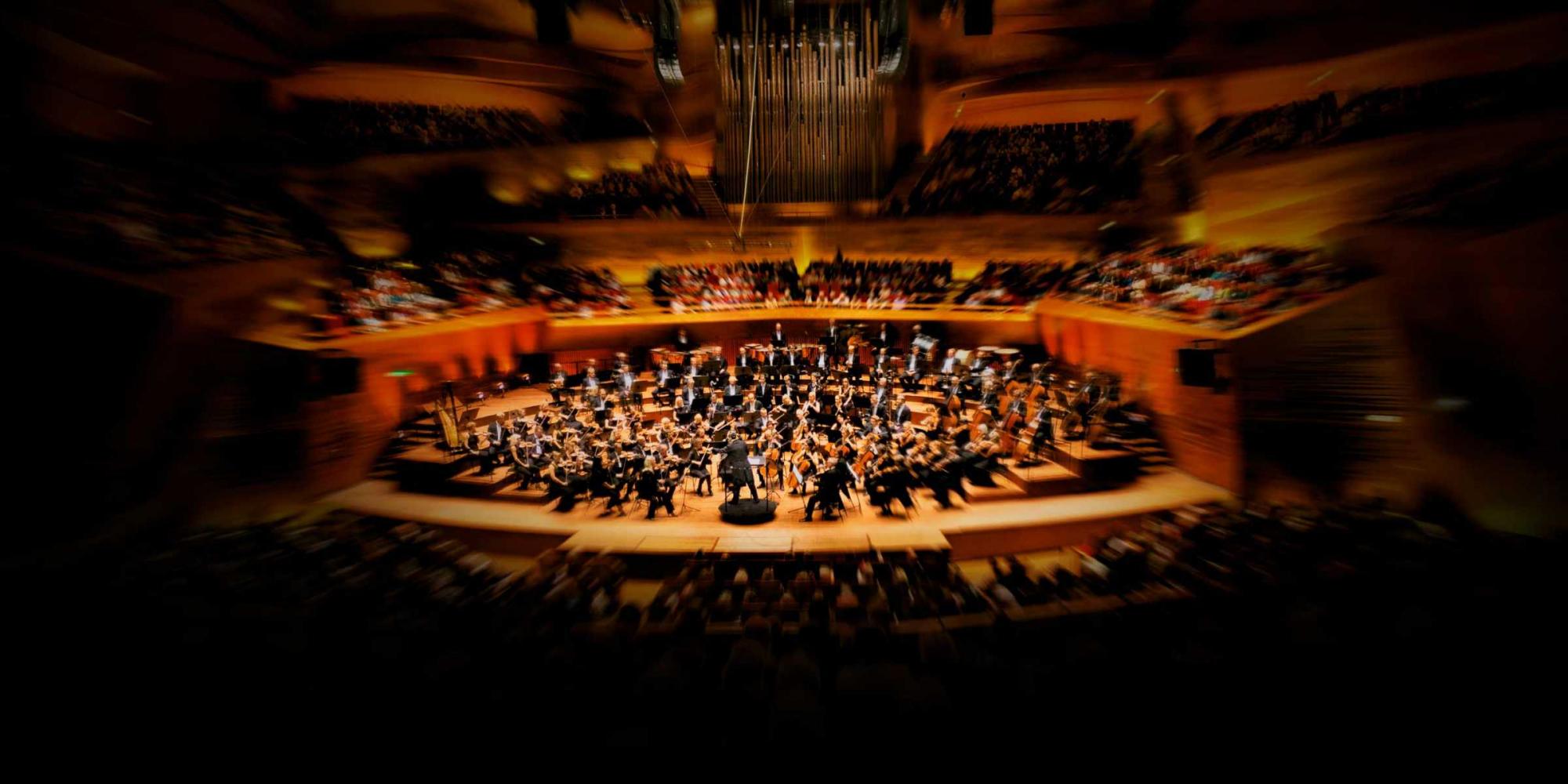 Danish National Symphony Orchestra Malko Competition