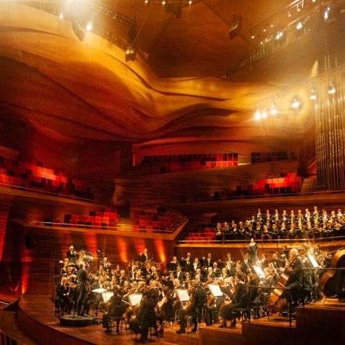 DNSO